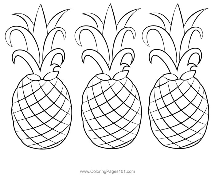 Animated pinapple coloring pages