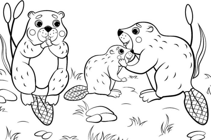 Free printable coloring sheets animals