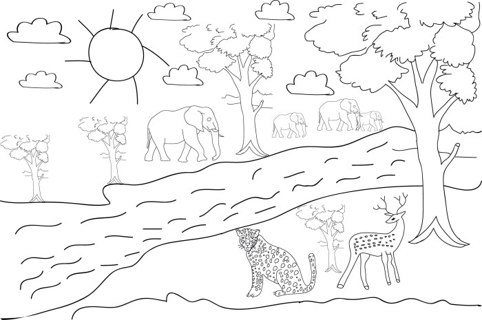 Forest with animals coloring page