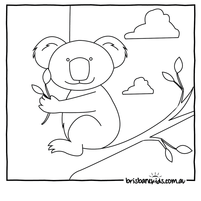 Australian animals coloring pages to print