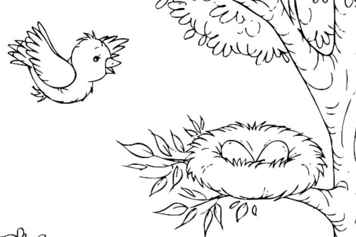 Animal coloring pages birds