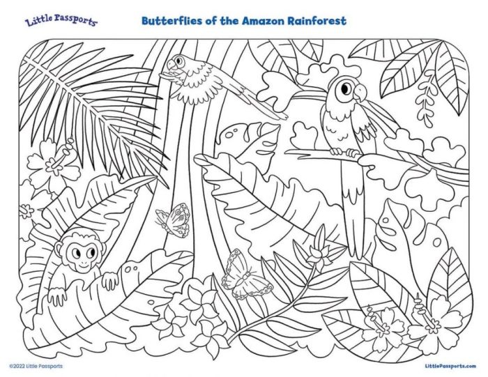 Rainforest animal coloring sheet