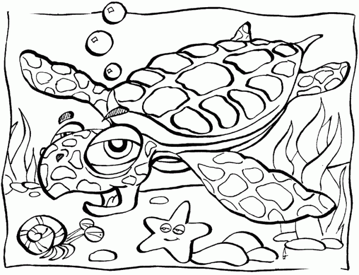 Animals in the sea coloring pages