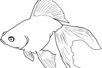 Coloring book pages of fish