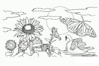 Nature coloring book pages