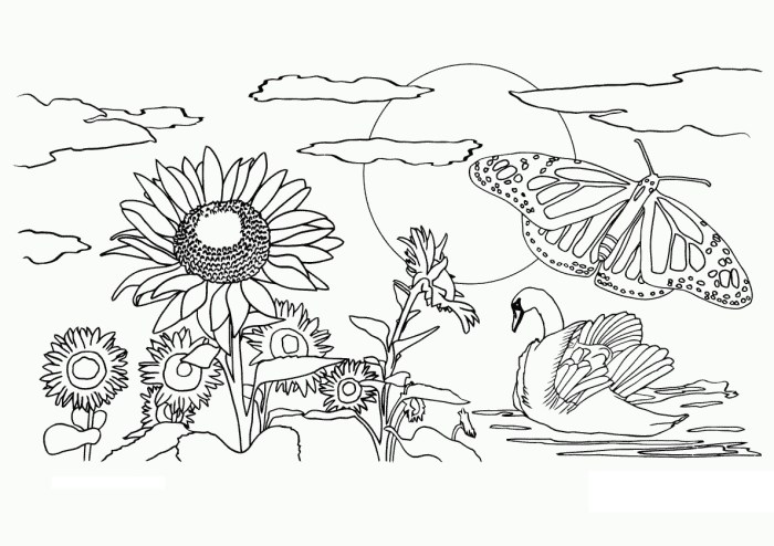 Nature coloring book pages