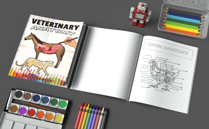 Animal antomy coloring book