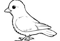 Animal coloring pages birds