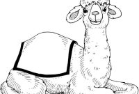 Cartoon animal coloring pages camel