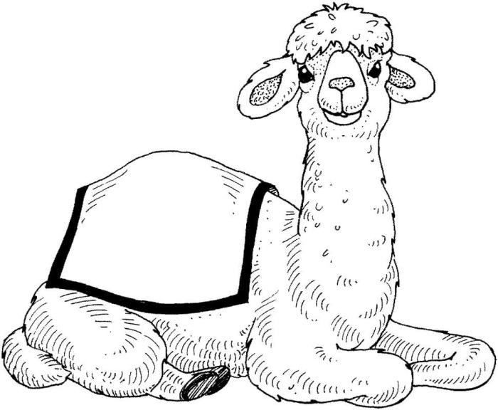 Cartoon animal coloring pages camel