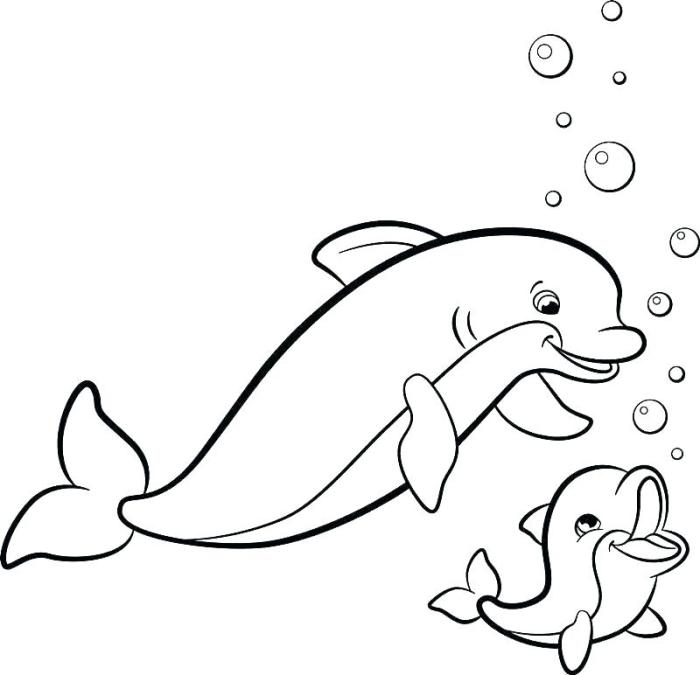 Dolphin coloring book pages