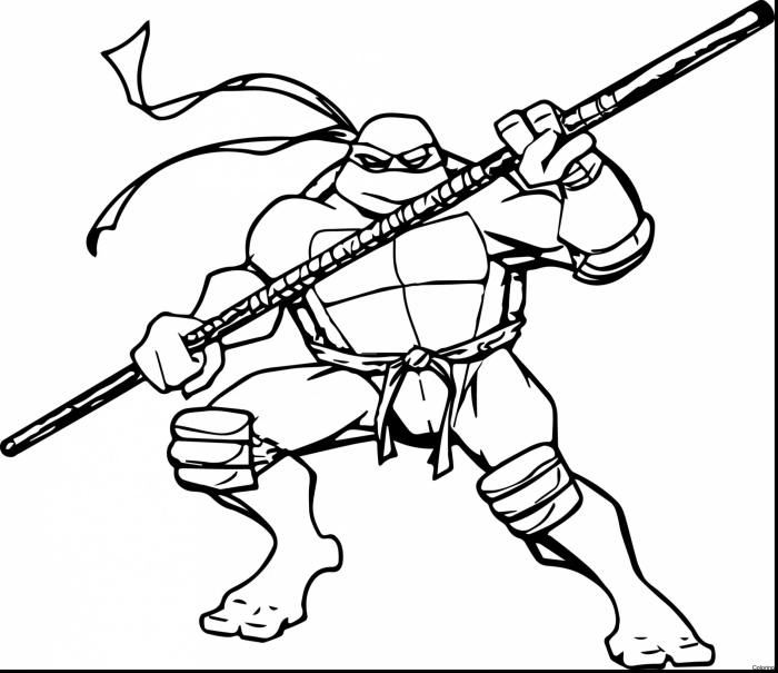 Ninja turtles coloring book printable