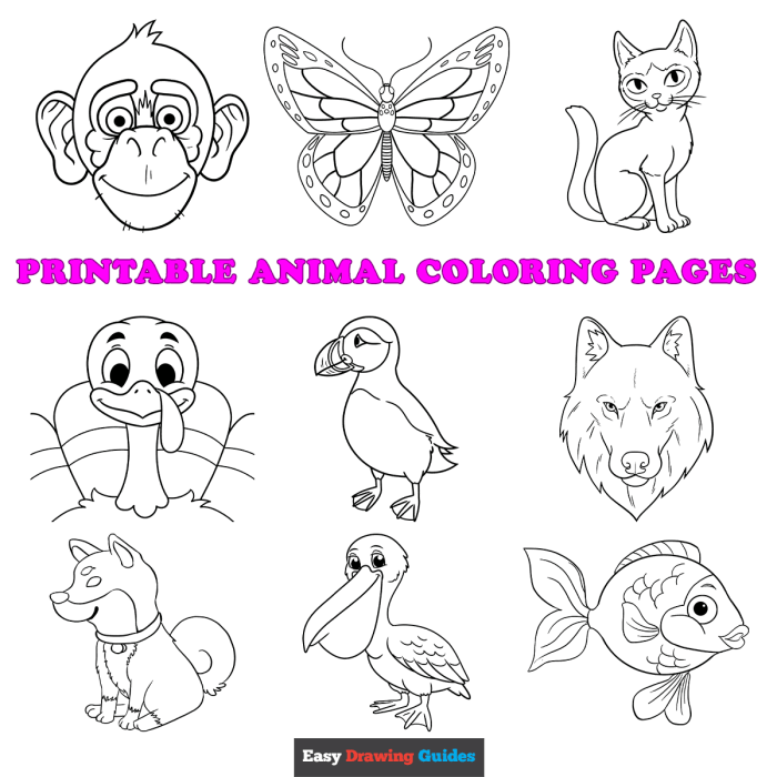 Animated animals coloring page