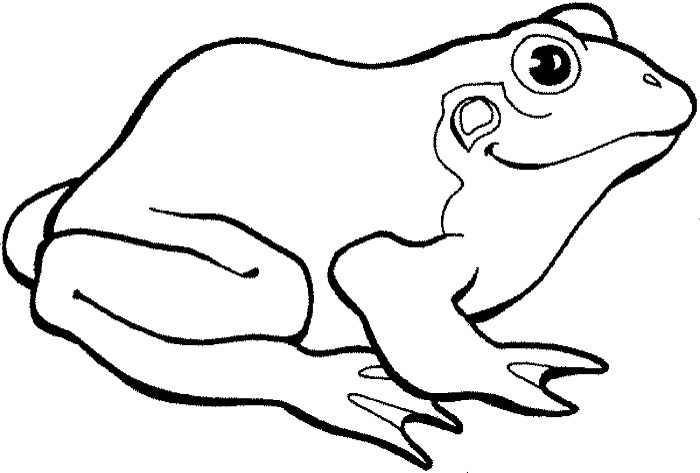 Coloring book pages of frogs