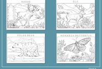 Small animals of north america coloring book