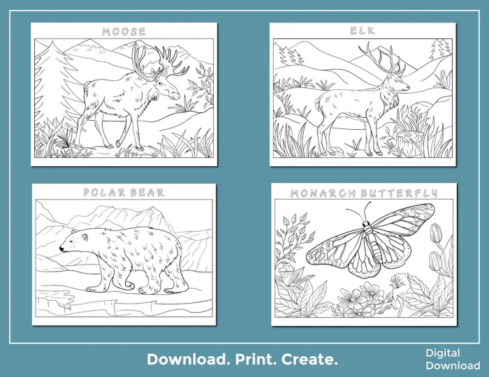 Small animals of north america coloring book