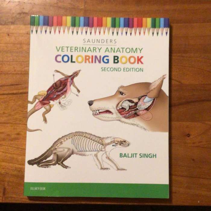 Animal antomy coloring book