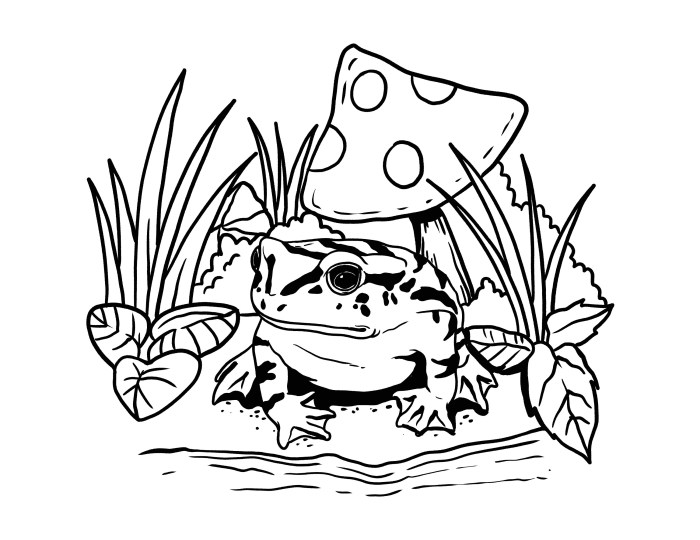 Coloring book pages of frogs