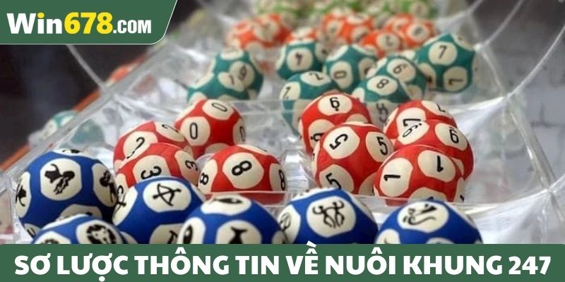 Sơ lược thông tin về nuôi khung 247